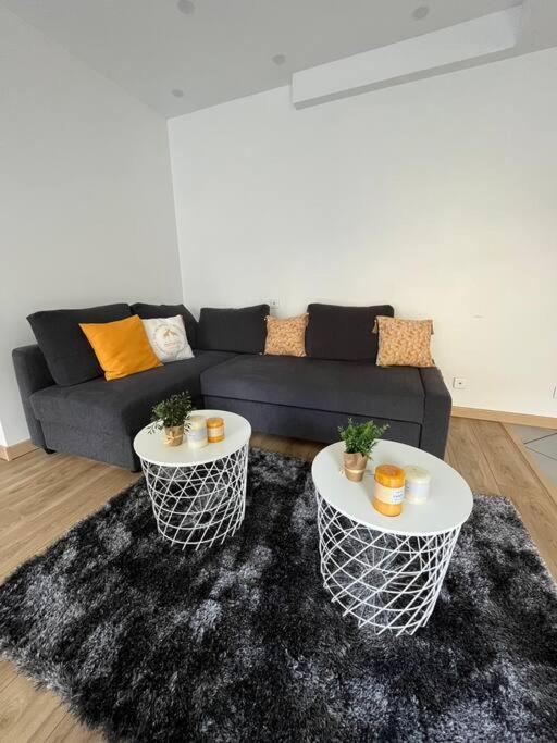 Superbe Appartement Moderne En Rez-De-Chaussee Ozoir-la-Ferrière Exteriör bild
